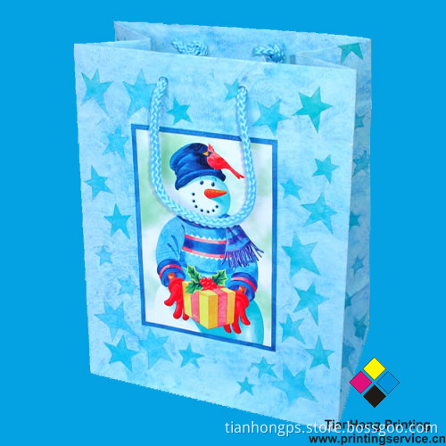 Shopping Bags (OEM-PB007)